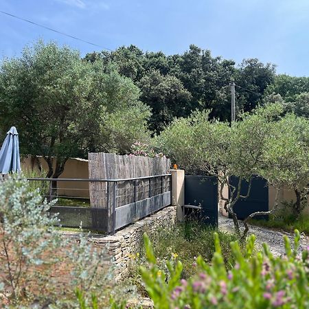 Villa Pierre Blanche Le Calme A 5Mn Du Centre Ville نيم المظهر الخارجي الصورة