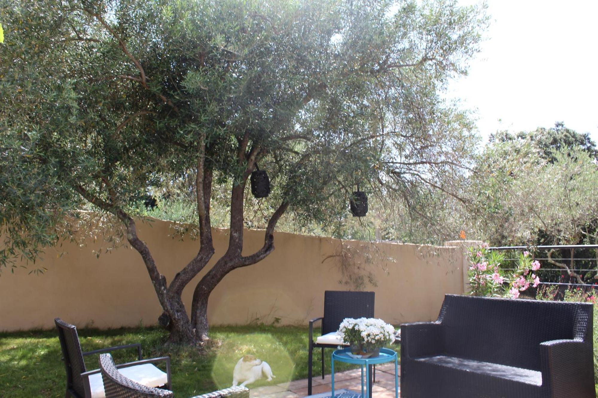 Villa Pierre Blanche Le Calme A 5Mn Du Centre Ville نيم المظهر الخارجي الصورة